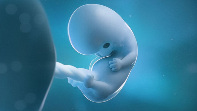 胎停育是染色体异常吗？第三代试管婴儿PGS技术-2