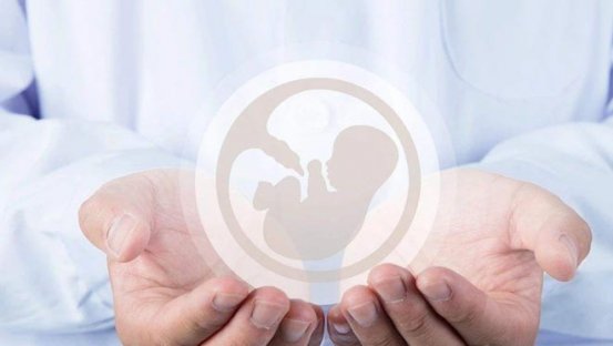 美国试管婴儿移植成功后需要保胎吗？