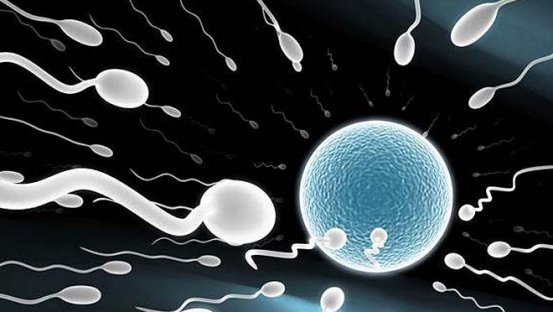 单身美国精子库供精试管婴儿是做第几代？