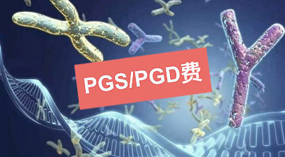 美国第三代试管婴儿PGS/PGD费用是多少？