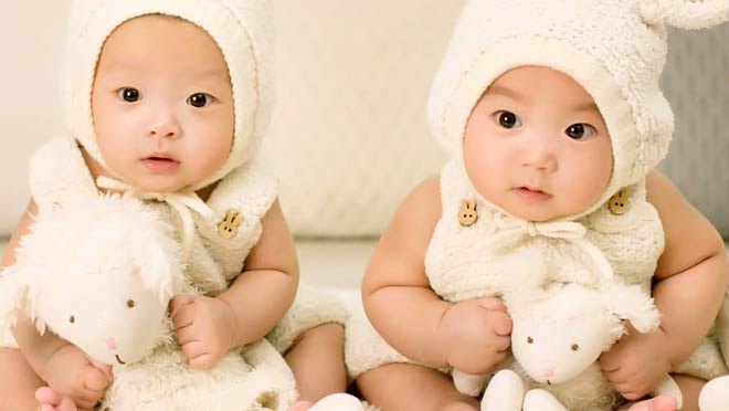 同性伴侣，美国试管婴儿双胞胎
-2